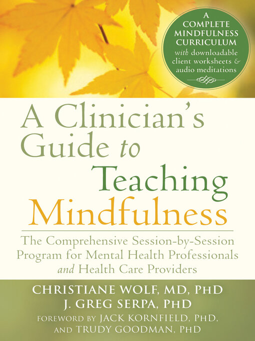 Title details for A Clinician's Guide to Teaching Mindfulness by Christiane Wolf - Available